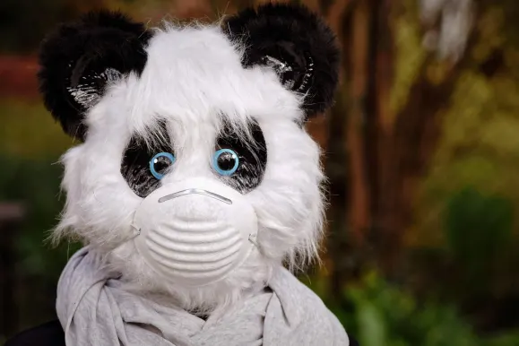 비이티9 카지노 지원